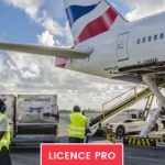 licence-pro-management-services-aeriens